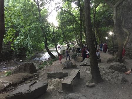 Manisa Salihli Sarı Saltık